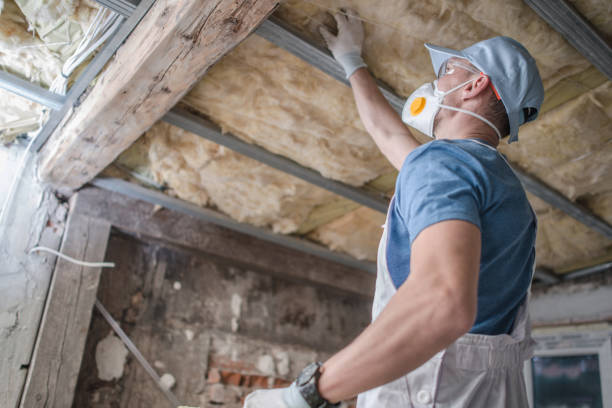 Best Crawl Space Insulation  in Bellefontaine Neighbors, MO