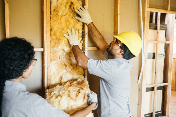 Best Blown-in Insulation  in Bellefontaine Neighbors, MO