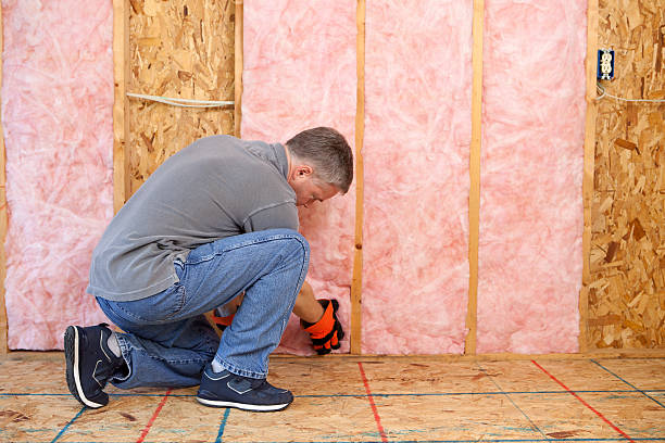 Best Professional Insulation Contractor  in Bellefontaine Neighbors, MO