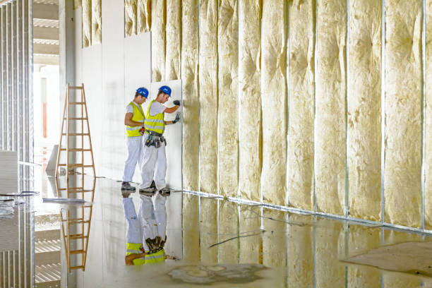 Best Insulation Inspection Services  in Bellefontaine Neighbors, MO